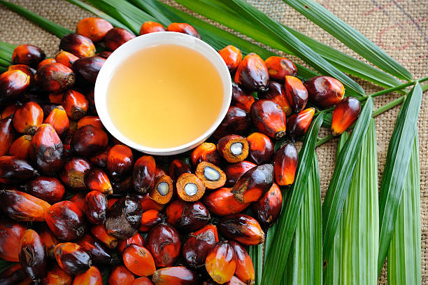 Let's Talk About Palm Oil